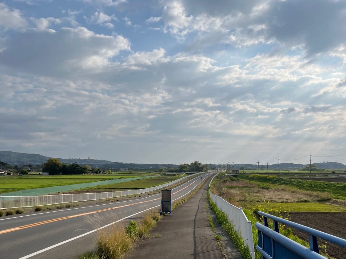 2025年4月朝ランの風景