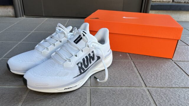 ナイキ　ペガサス41　レビュー　外観写真1