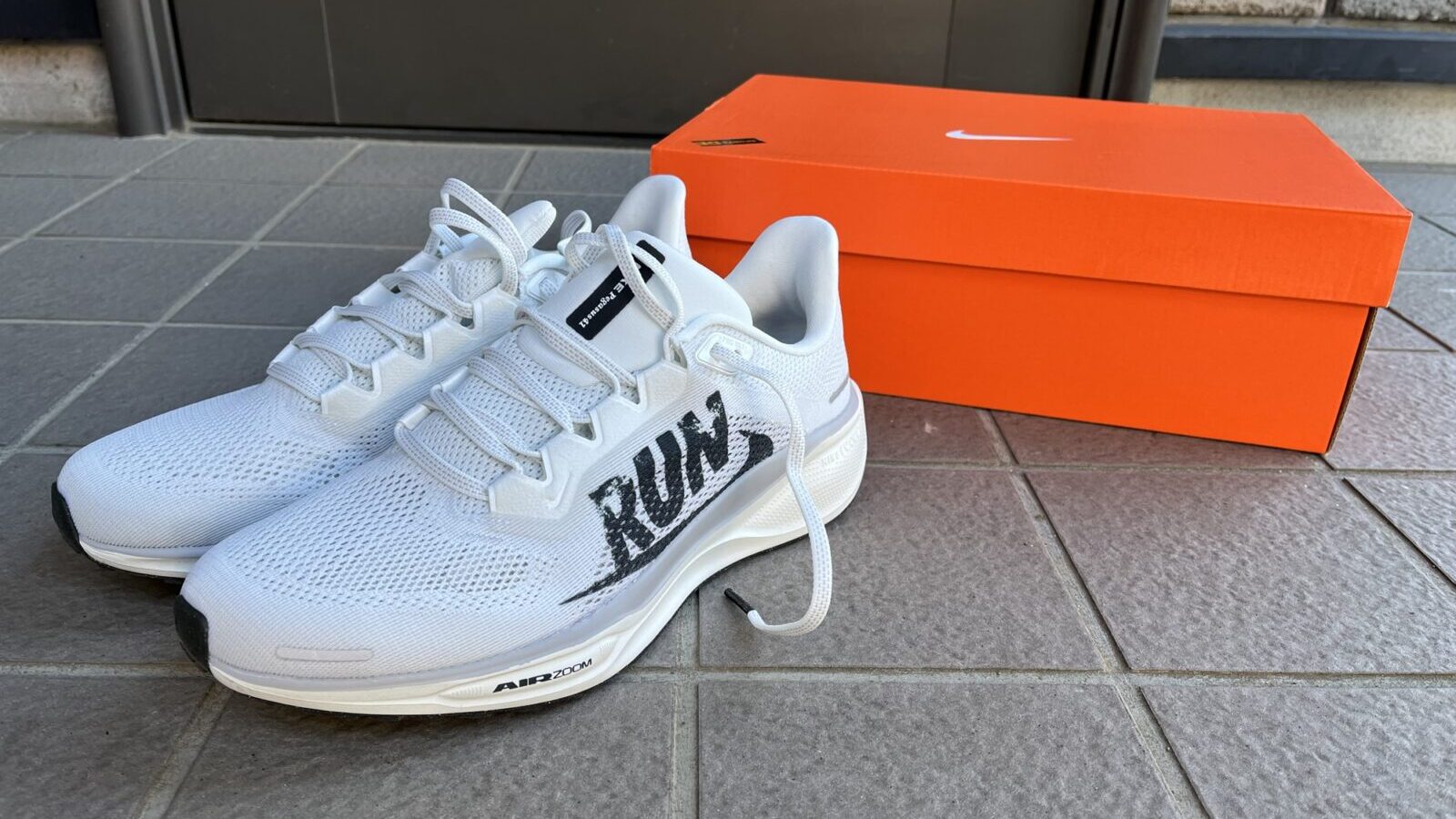 ナイキ　ペガサス41　レビュー　外観写真1