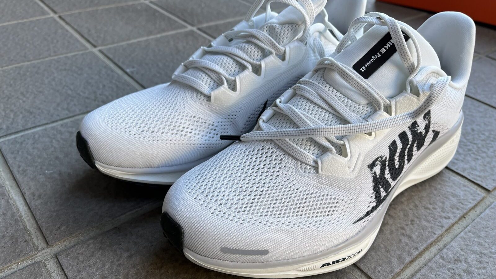 ペガサス41　外観2