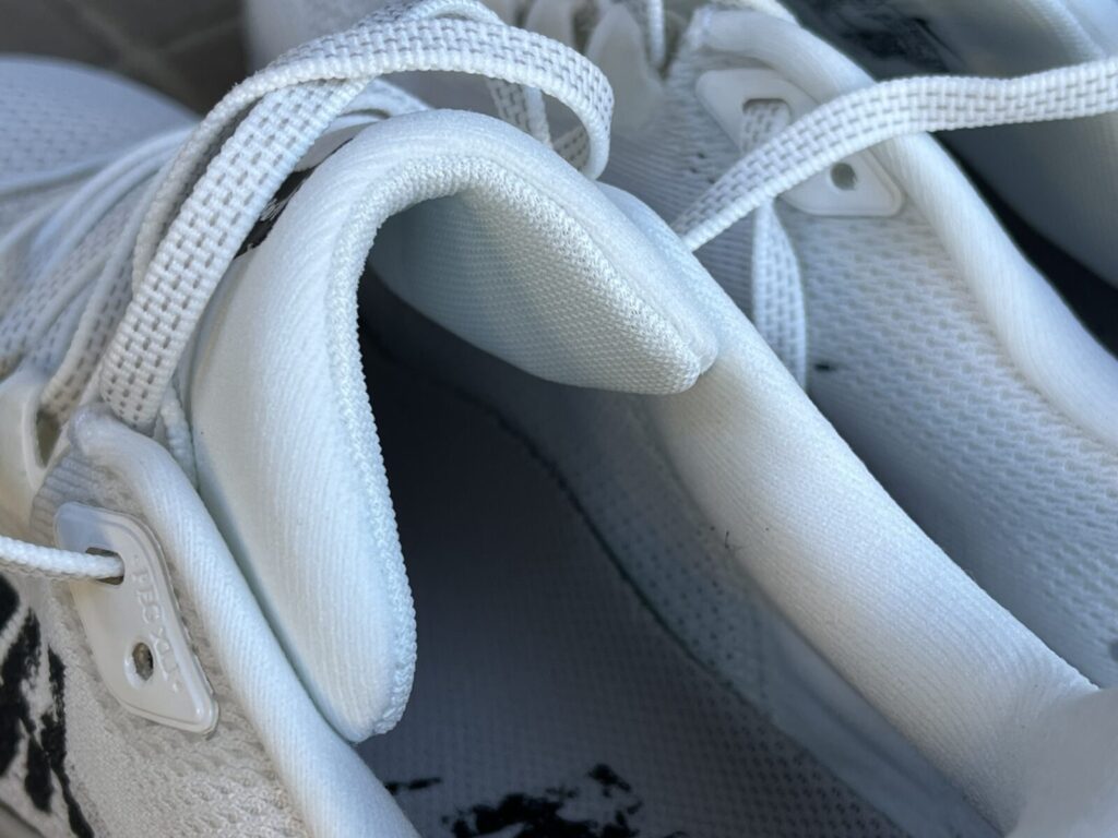 ナイキ　ペガサス41　シュータン1