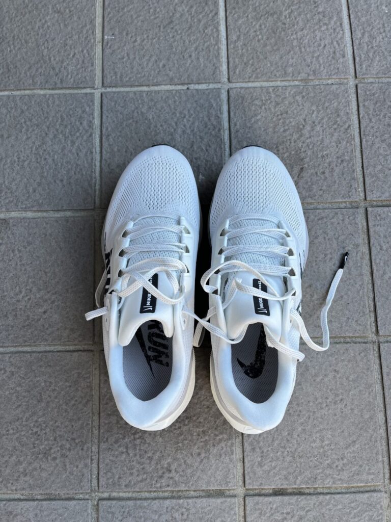 ペガサス41　上から見た写真