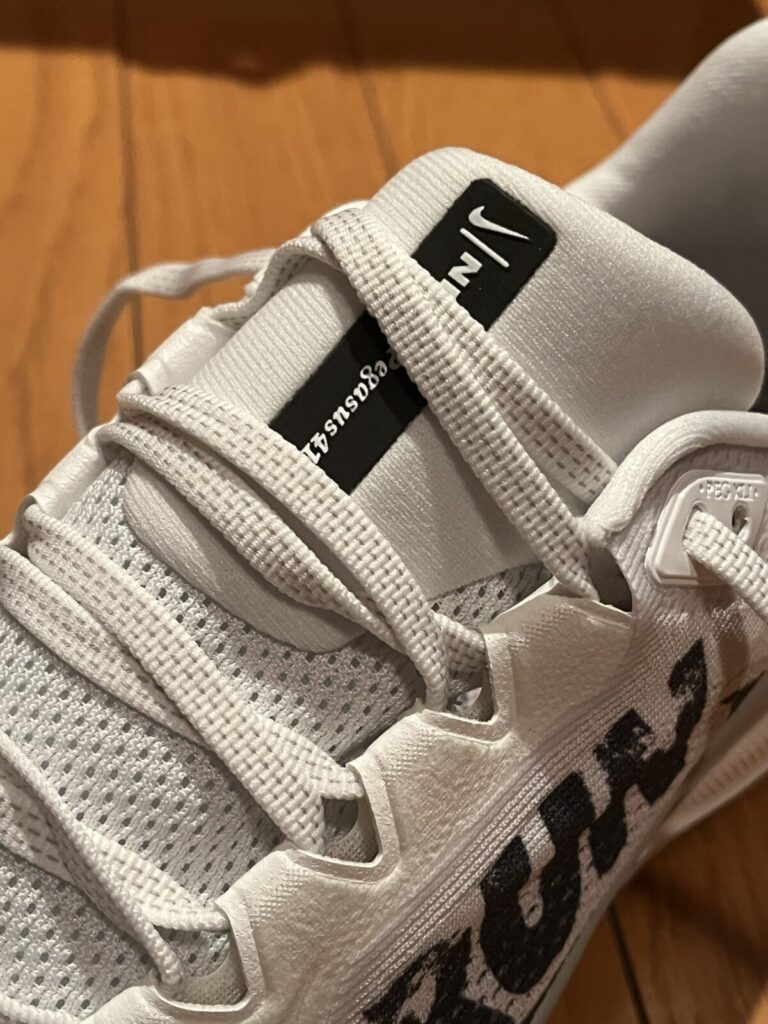 ペガサス41　レビュー　シュータン