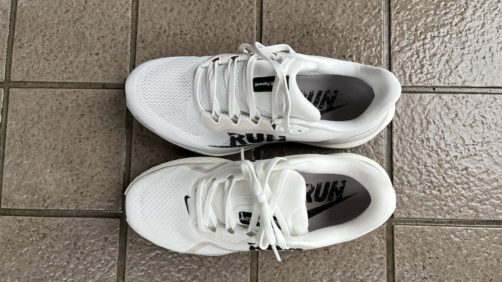 ペガサス41 vs ストラクチャー26　徹底比較レビュー　上から見たところ