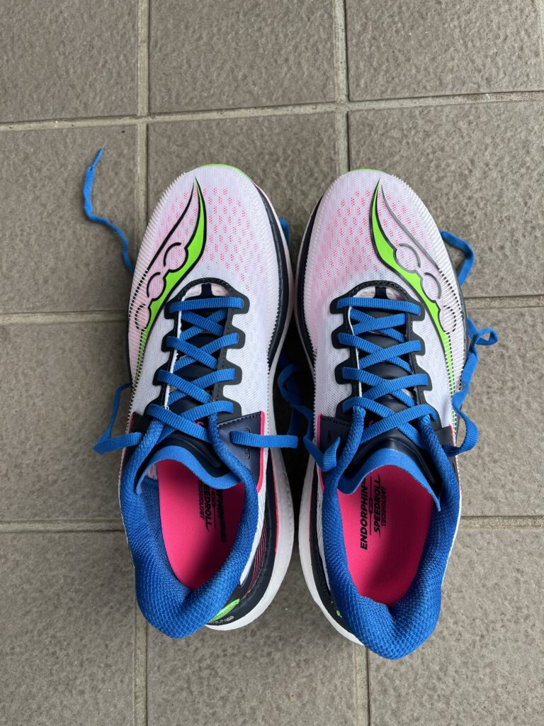 エンドルフィン　アズーラ　普段履き2