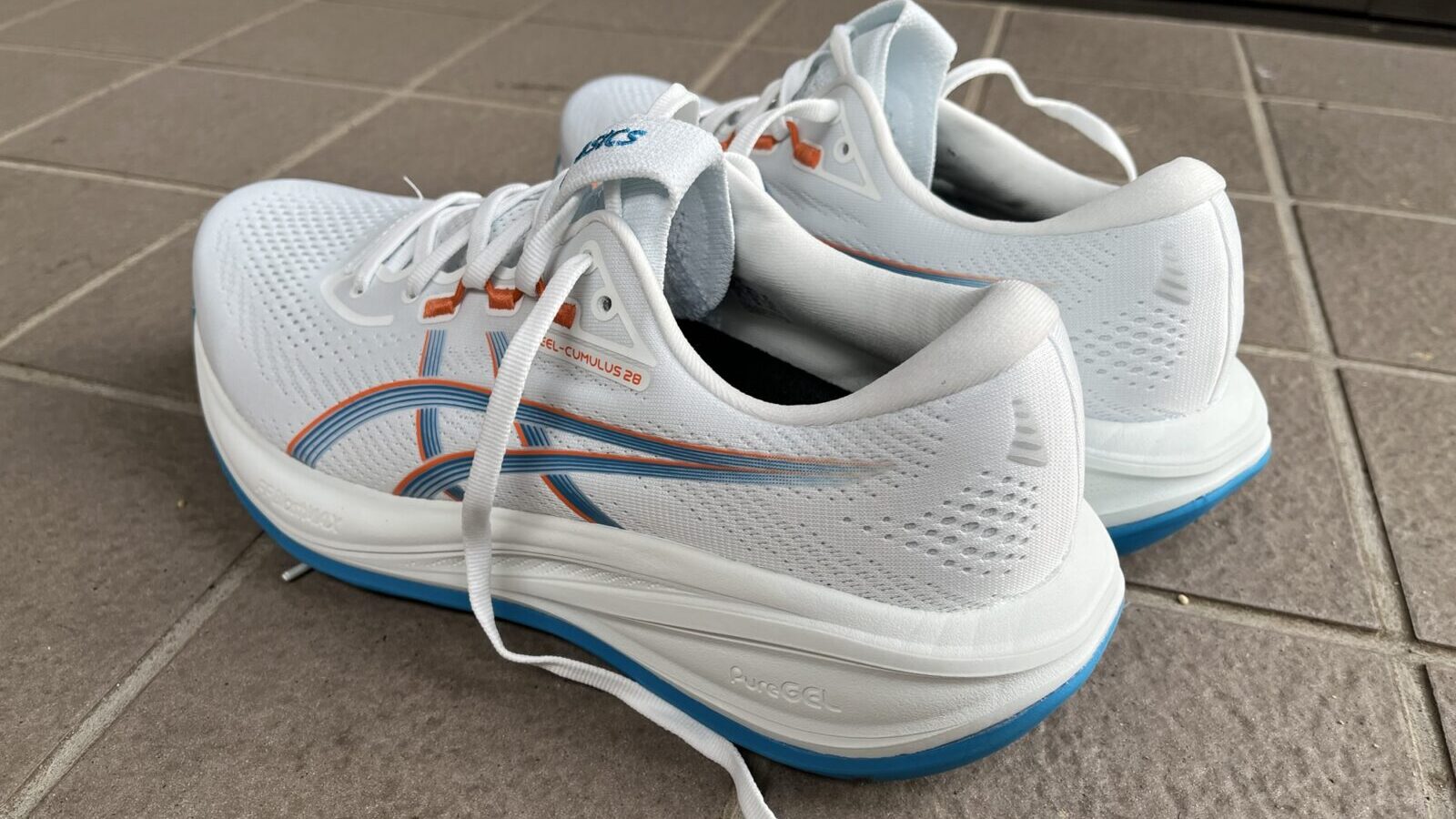 ゲルキュムラス28　踵
から見たところ