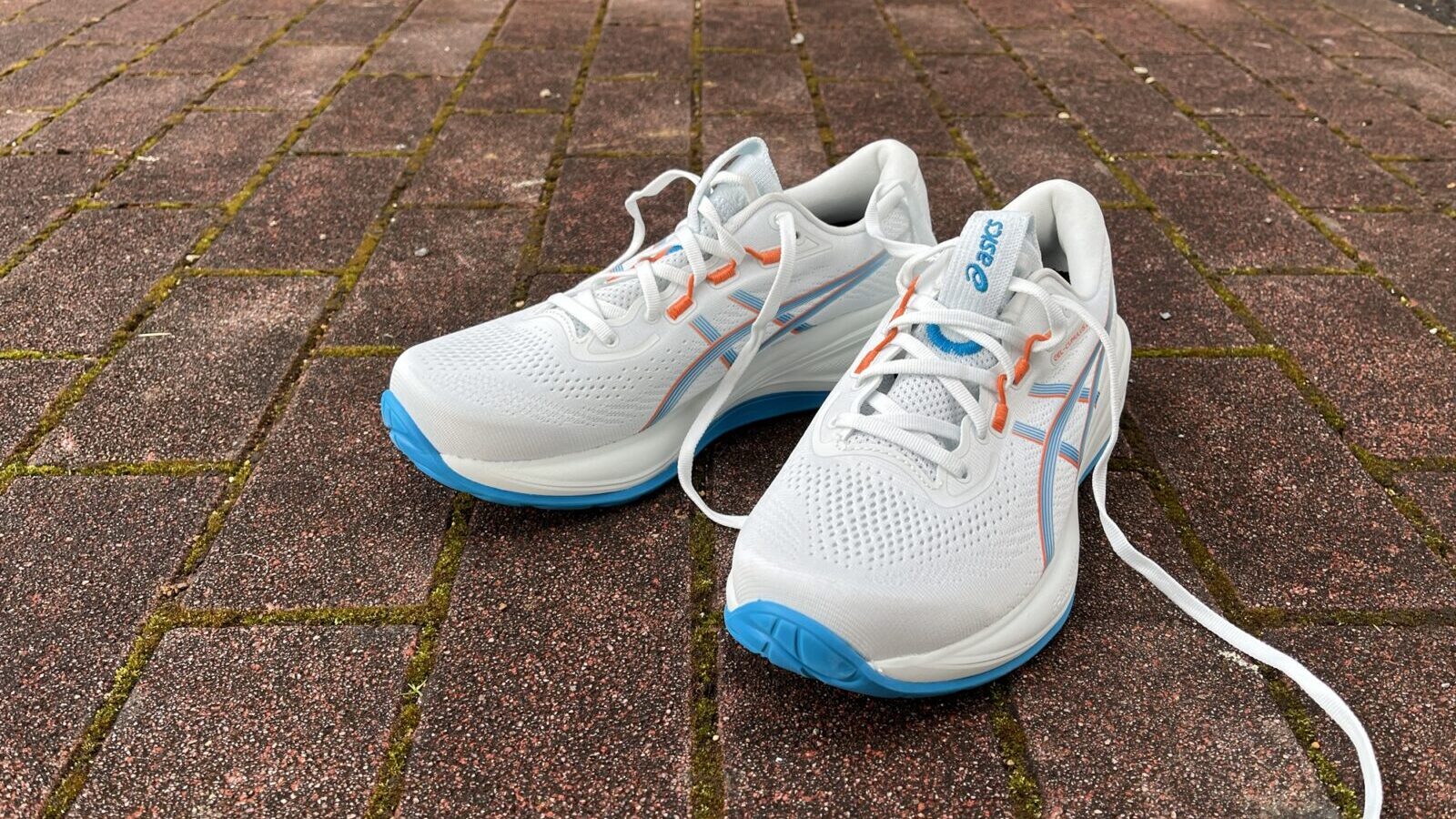 ゲルキュムラス28　前から見たところ