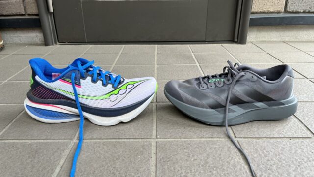 エンドルフィンアズーラ vs EVO SL徹底比較レビュー