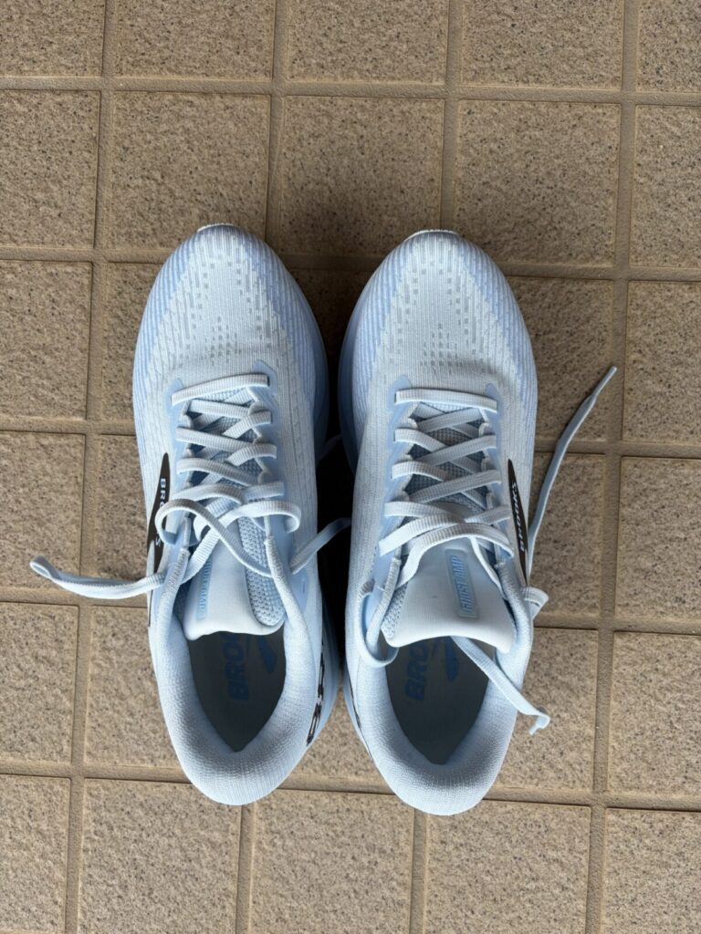 ゴーストアンプ 履いてみた 上から見たところ